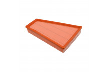 Air Filter Renault 00-09