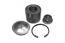 Wheel Bearing Kit Renault 03-11
