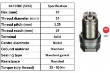 Spark Plug Fiat 96-09