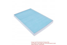 Cabin Air Filter Hyundai Kia 06-17