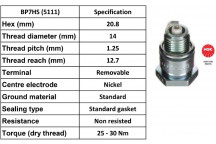 Spark Plug Fiat Ford Fso Porsche Volvo 65-00