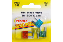 Pearl Automotive PWN539 Assorted Mini Fuses - 10 & 15 & 20 &