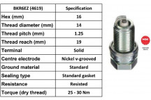 Spark Plug Citroen Dacia Fiat Nissan Peugeot Renault 93-17