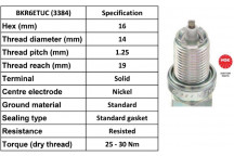 Spark Plug Renault Volvo 91-10