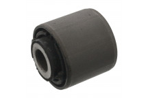 Mounting - Control/Trailing Arm Land Rover 06-19