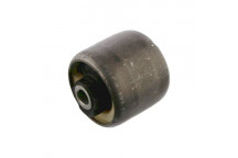Bushing - Axle Beam Ford Mazda 95-08