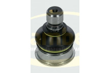 Ball Joint Nissan 04-19