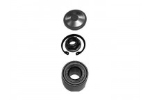 Wheel Bearing Kit Dacia Renault 02-21