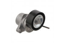 Belt Tensioner - V-Ribbed Belt Citroen Peugeot 00-21