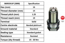 Spark Plug Ford Mercedes Seat VW 91-06