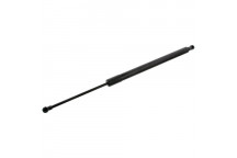 TGS450043 GAS SPRING (REAR)MODUS 04-10