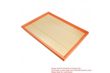 Air Filter BMW 06-10