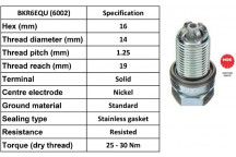 Spark Plug BMW 04-11