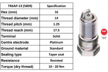 Spark Plug Ford Volvo 04-15