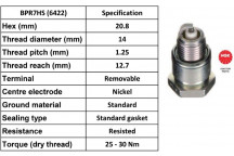 Spark Plug Fiat Ford Porsche 59-04