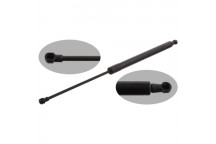 GAS SPRING REAR RENA SCENIC 09-20