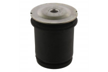 Bushing - Axle Cross Member Citroen Fiat Peugeot 07-17