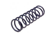 Suspension Spring VW 06-13
