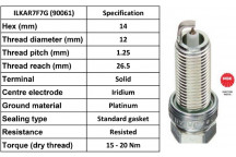 Spark Plug Dacia Nissan Renault 09-23