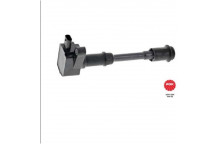 Ignition Coil Ford Volvo 10-22