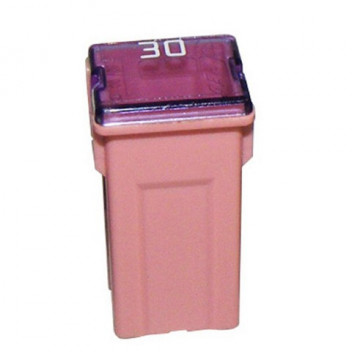 Pearl Automotive PWN803 Slow Blow Fuse - 30 Amp J Type