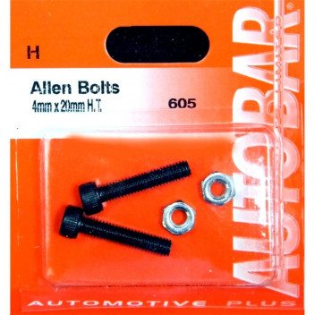 Autobar Allen Bolts 4mm x 20mm Pack of 2