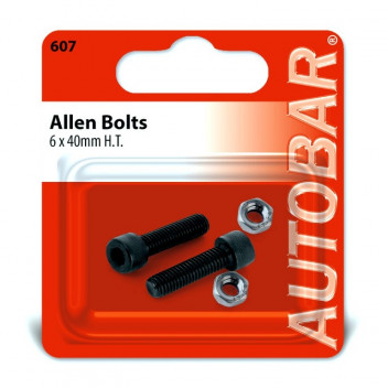 Autobar Allen Bolts 6mm x 40mm Pack of 2