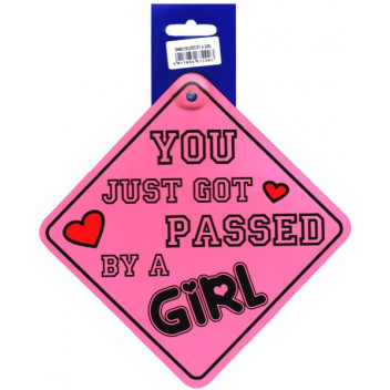You Just Got Passed By A Girl Sticker