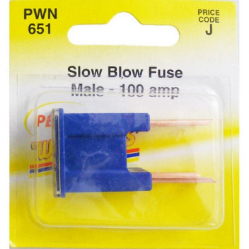 Pearl Automotive PWN651 Slow Blow Fuse - Male 100 Amp