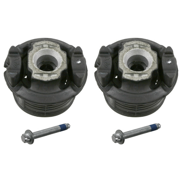 Bush Set - Axle Beam Mercedes 98-06 image