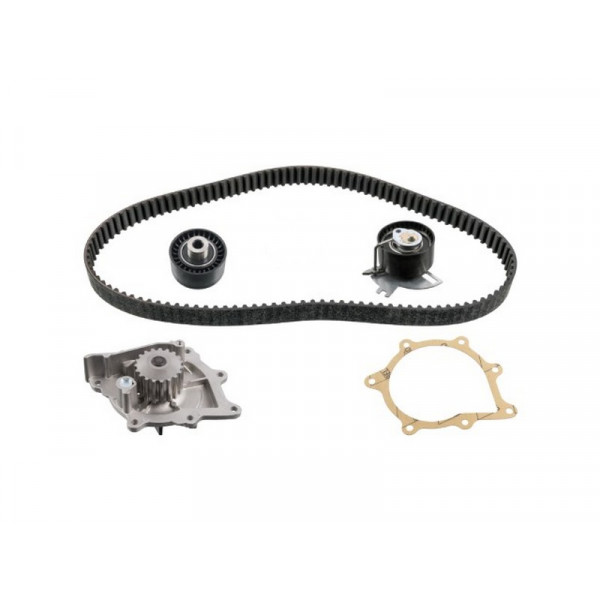 Water Pump & Timing Belt Kit Citroen DS Ford Peugeot Toyota image