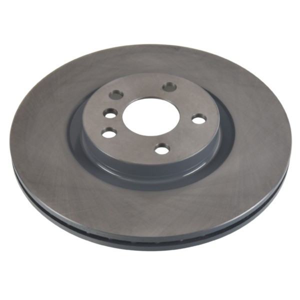 Brake Disc BMW 04-11 image
