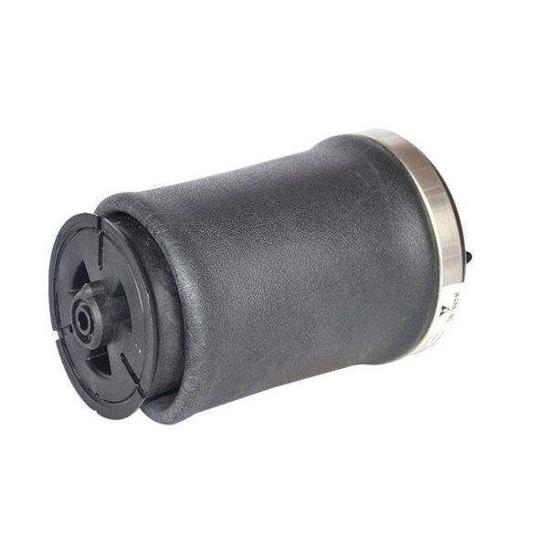 AIR SPRING (REAR RIGHT) BMW 5 SERIES (E39) WAGON W image