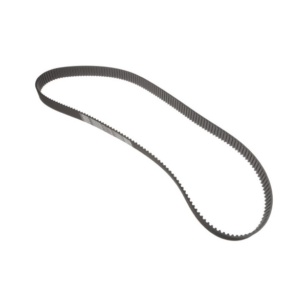 CAM BELT SHOGUN 97-01 image