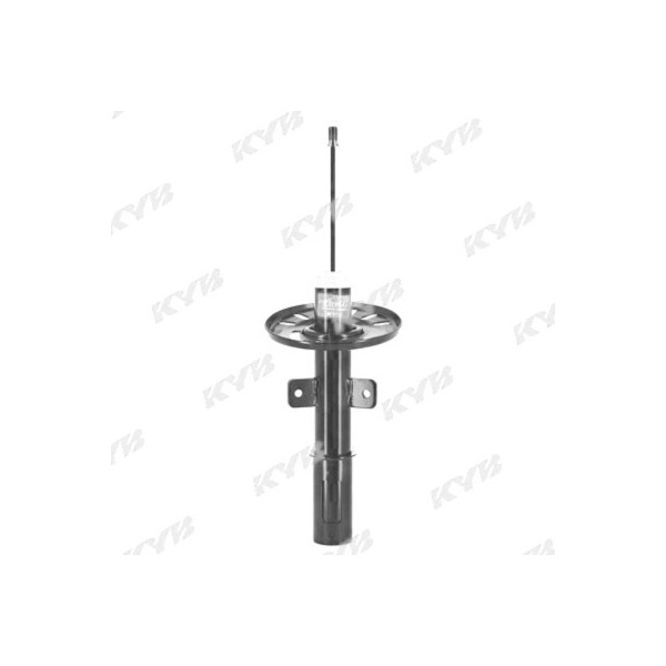 Shock Absorber DS Peugeot Vauxhall 16-21 image