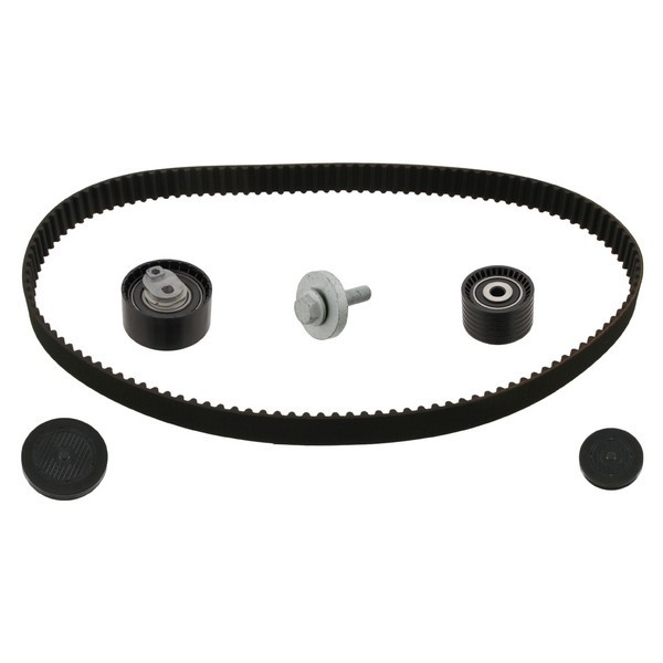 TIMING KIT LAGUNA 1 image