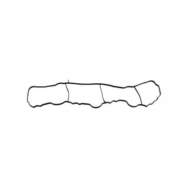 BGA Group Manifold Gasket image