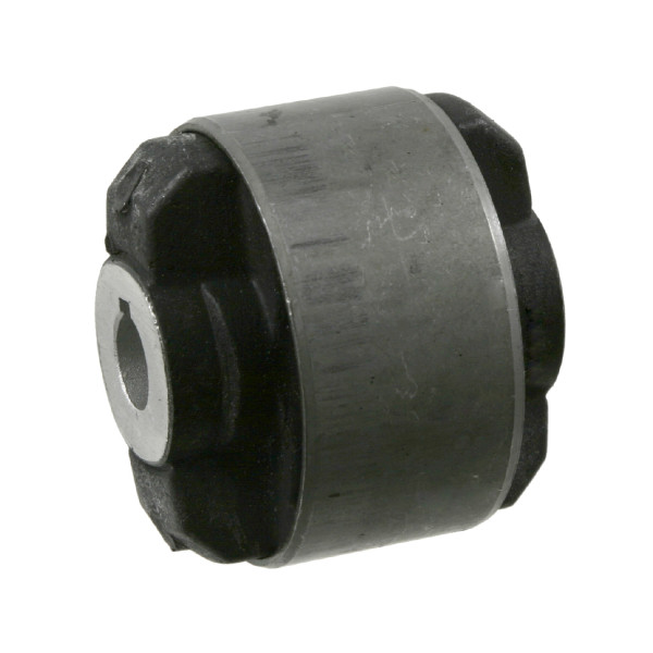 Mounting - Control/Trailing Arm Renault 93-01 image