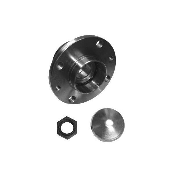 Wheel Bearing Kit Alfa Romeo Chrysler Citroen Fiat Lancia Fo image