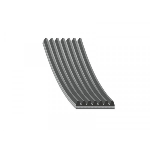 V-Ribbed Belt Dacia 17-27 image