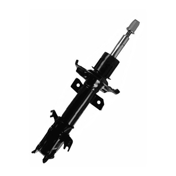 Shock Absorber Ford 08-18 image