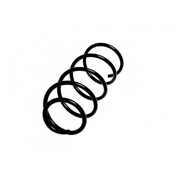 Suspension Spring BMW 04-13 image