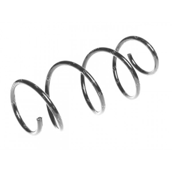 Neox Coil Spring (Front) image