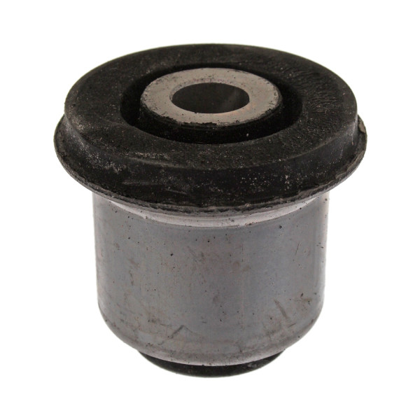 Mounting - Control/Trailing Arm Renault 93-07 image