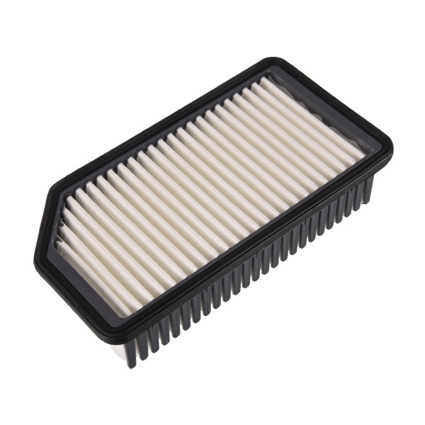 Air Filter Hyundai Kia 08-19 image