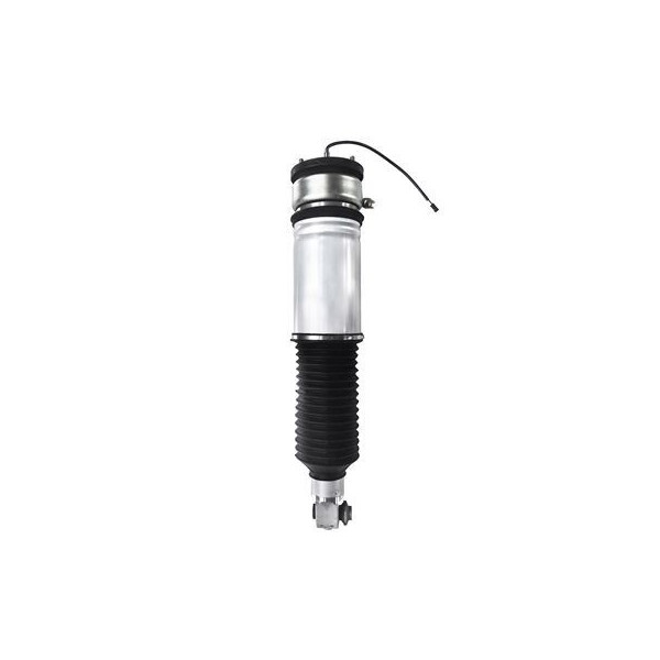 AIR STRUT (REAR LEFT) BMW E66 REAR LEFT WITH ADS 0 image