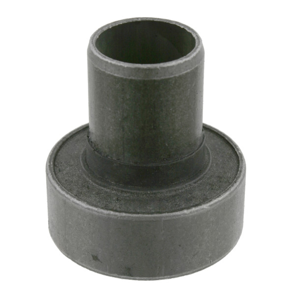 Bushing - Axle Cross Member Renault 98-10 image