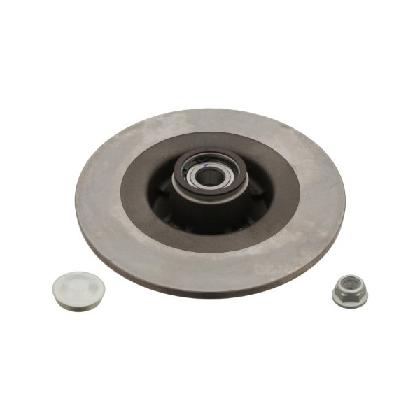 Brake Disc Renault 03-09 image