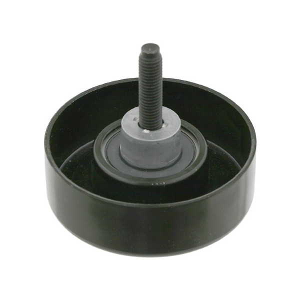 TENSIONER FOCUS DIE 98-05 image