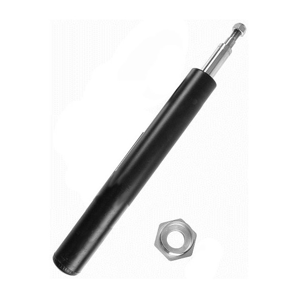 Shock Absorber Alfa Romeo Fiat Lancia 87-12 image